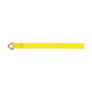 4IN X 30FT STRAP W/ D RING