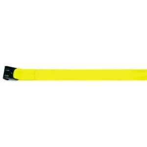 4in x 30 Ft Strap with Flat Hook in Yellow